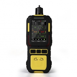 RB600M Gas Detector with Built-in Pump